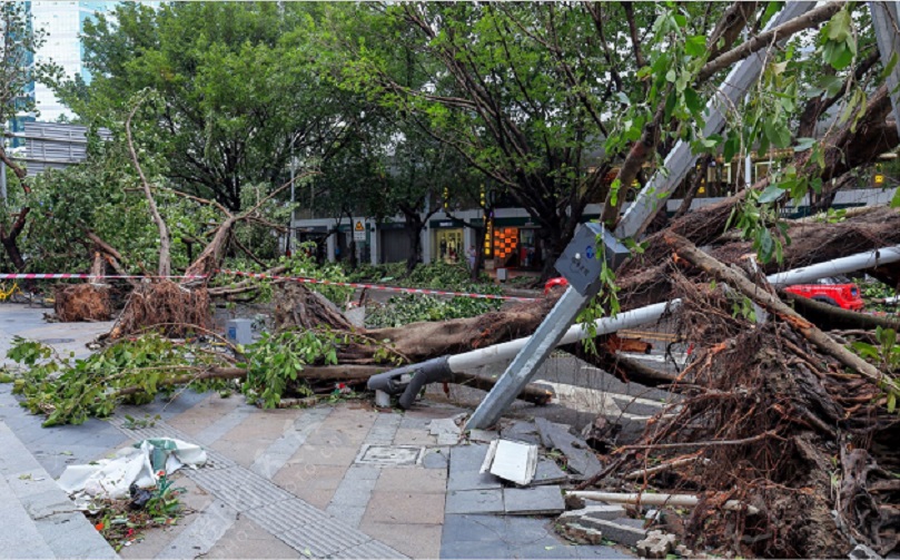 台风会对建筑物造成什么危害？台风后需要对哪些建筑进行检测与鉴定呢？